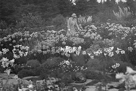 Elsie pose dans l’Allée royale où elle observe un cadran solaire. Plus d’une cinquantaine de lis en fleurs l’entourent. Leur parfum voyage avec la brise du fleuve Saint-Laurent. Au premier plan de cette photographie en noir et blanc, son chien est couché sur les grandes pierres du sentier.