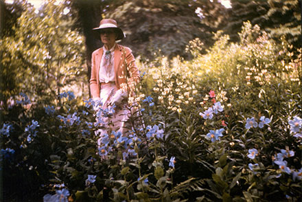 Une trentaine de pavots bleus en fleur occupent le premier plan de cette photographie d’archives en couleur. Elsie Reford pose dans son jardin. Elle est vêtue d’un chapeau pour se protéger du soleil et de gants de jardinage; elle tient un sécateur à la main. Elsie Reford est entourée de fleurs blanches et roses. À l’arrière-plan, quelques épinettes bordent le jardin. La lumière du soleil traverse leurs branches et illumine l’espace.