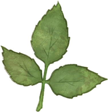 Lorem ipsum dolor sit amet