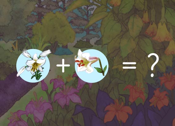 Sur cette illustration, on voit le jardin de la section précédente, à l’arrière-plan, avec un filtre gris. Sur ce fond, deux lis, séparés par un signe d’addition, se trouvent sur la même ligne, dans deux pastilles. Au bout de cette ligne, un signe d’égalité est suivi d’un point d’interrogation.