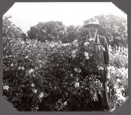 Sur cette photo en noir et blanc, Isabella Preston porte un chapeau et elle esquisse un sourire. Elle prend la pose près d’un rosier et les roses sont en fleur. 