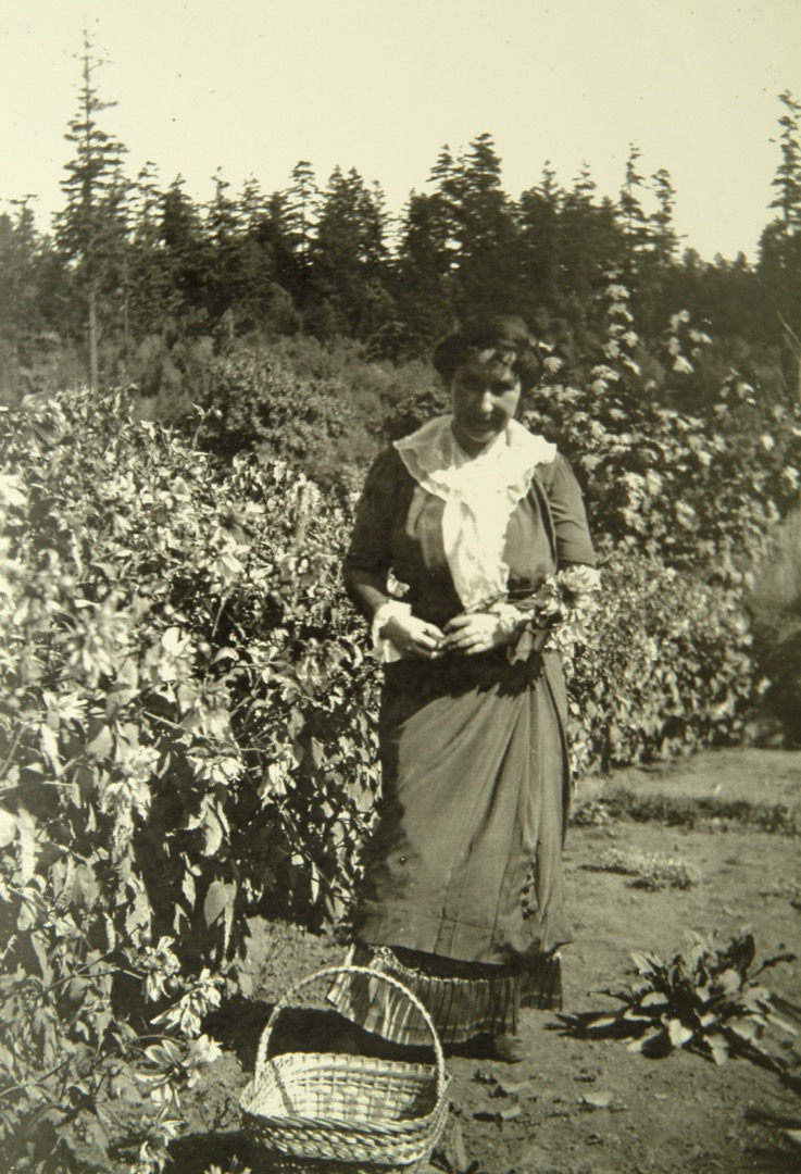 Jennie Butchart se trouve au centre de cette photographie en noir et blanc. Elle fixe un panier de jardinage à ses pieds. À sa droite, il y a des fleurs. Une rangée de conifères orne l’arrière-plan.