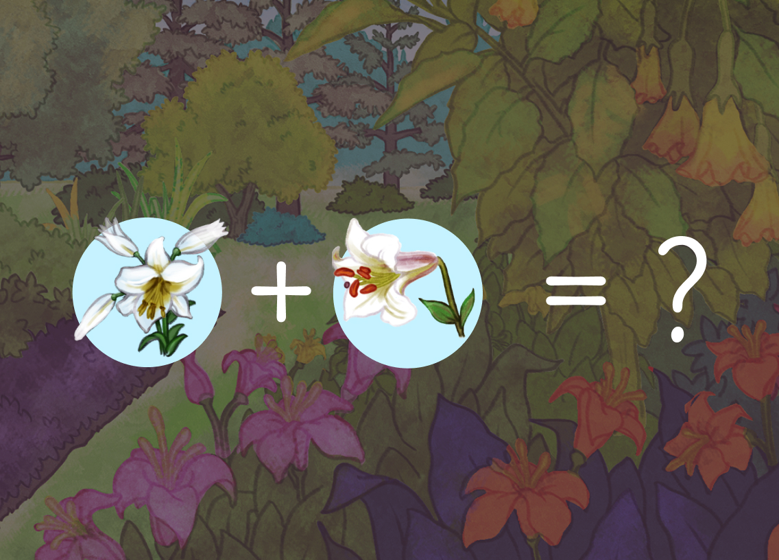 Sur cette illustration, on voit le jardin de la section précédente, à l’arrière-plan, avec un filtre gris. Sur ce fond, deux lis, séparés par un signe d’addition, se trouvent sur la même ligne, dans deux pastilles. Au bout de cette ligne, un signe d’égalité est suivi d’un point d’interrogation.