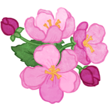 Dessin d'une fleur de pommetier