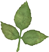 Lorem ipsum dolor sit amet