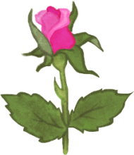 Lorem ipsum dolor sit amet